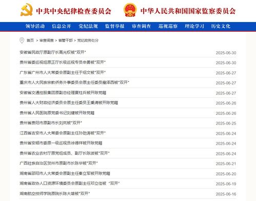 中央纪委国家监委通报 104人被查,42人被处分