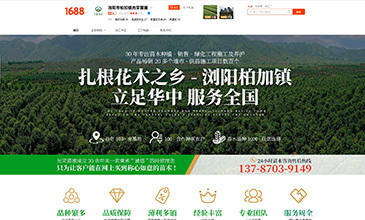 湖南网络营销一体化服务 从网站建设到抖音推广的全方位解决方案